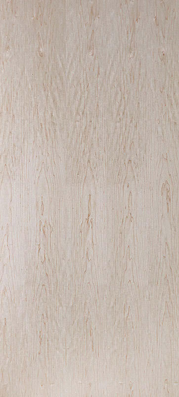 Echtholz Furnier - Ahorn canadisch lackiert