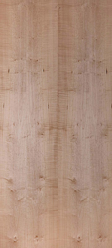 Echtholz Furnier - Ahorn gedämpft lackiert