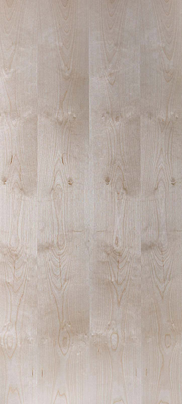 Echtholz Furnier - Birke lackiert