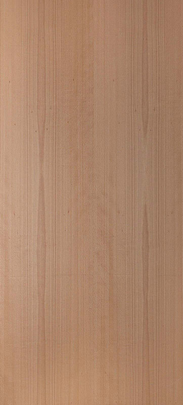 Echtholz Furnier - Buche Spezial lackiert