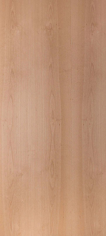 Echtholz Furnier - Buche lackiert