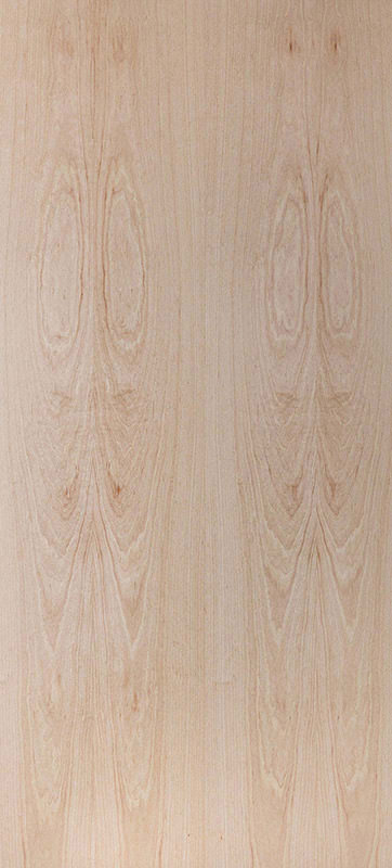 Echtholz Furnier - Buche ungedämpft lackiert