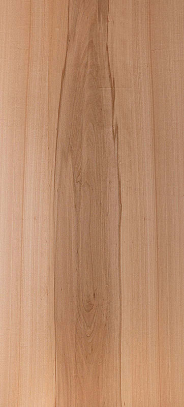 Echtholz Furnier - Kernbuche Baumstammoptik lackiert