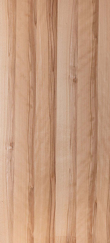 Echtholz Furnier - Kernbuche lebhaft lackiert