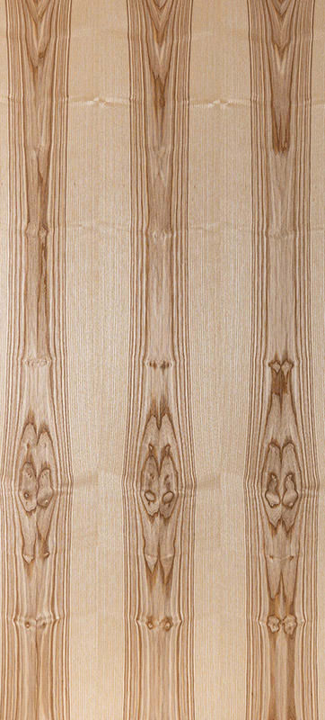 Echtholz Furnier - Kernesche lackiert