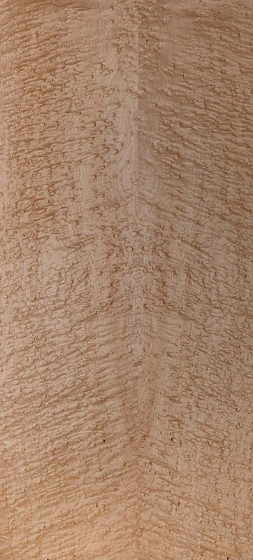 Echtholz Furnier - Vogelaugenahorn lackiert