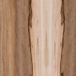 Echtholz Furnier - Tineo lackiert